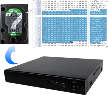 独自システムの不明なデータコード